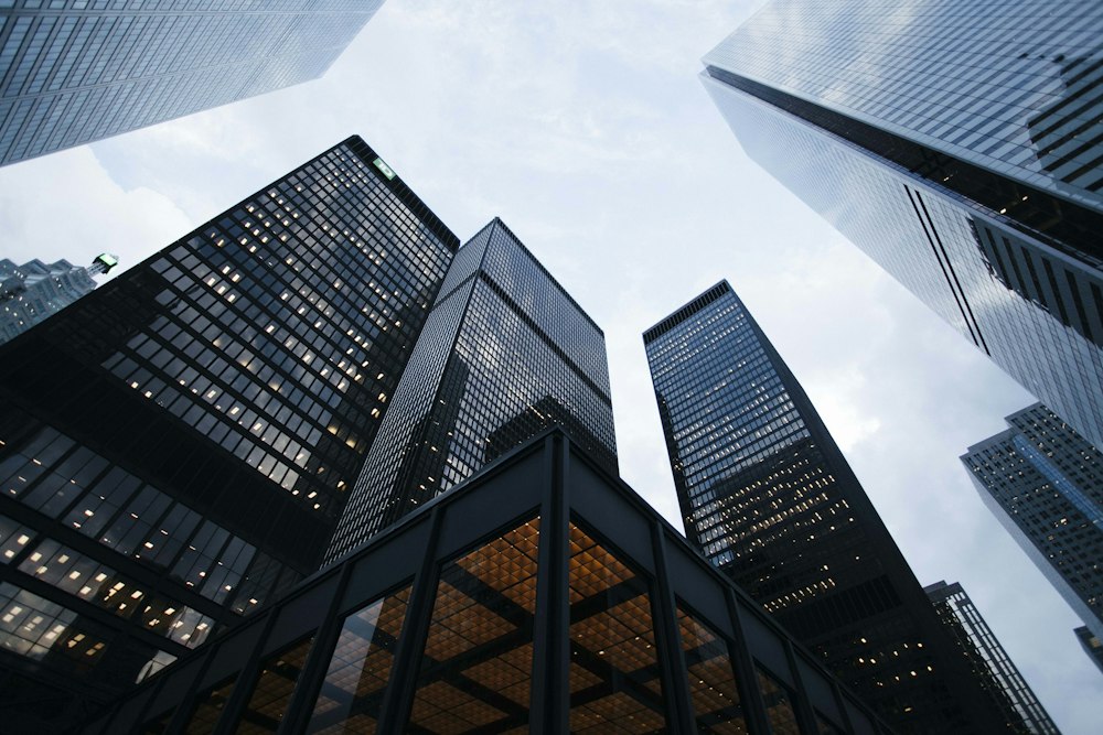 Enterprise office towers representing government-scale digital platforms